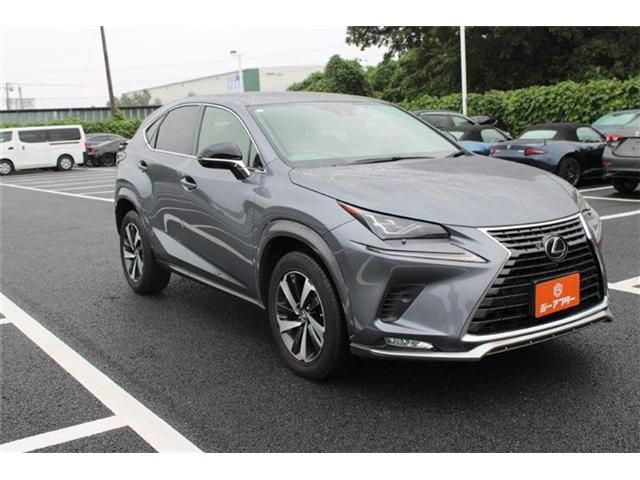 LEXUS NX300