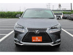 LEXUS NX300