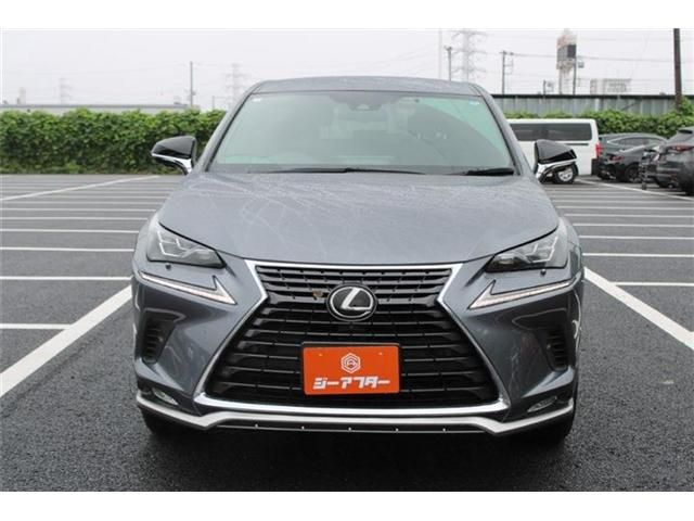 LEXUS NX300
