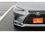 LEXUS NX300