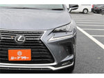LEXUS NX300