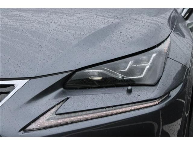 LEXUS NX300