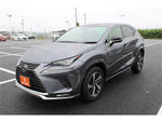 LEXUS NX300