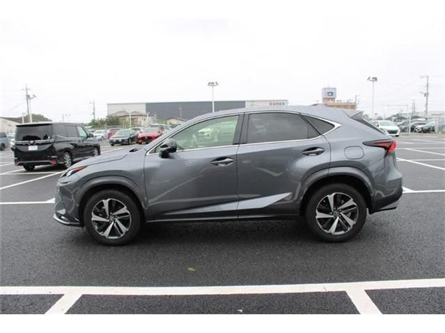 LEXUS NX300