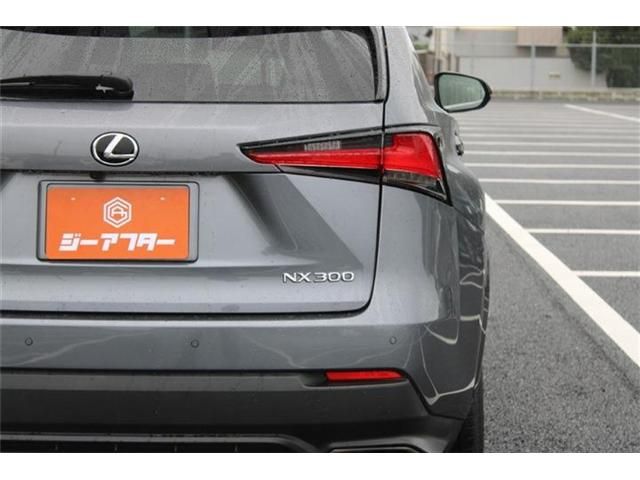 LEXUS NX300