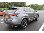 LEXUS NX300