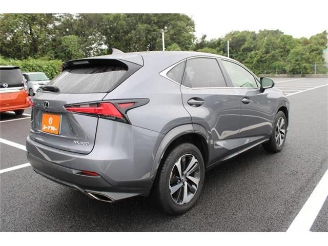 LEXUS NX300
