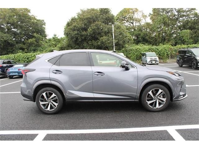 LEXUS NX300