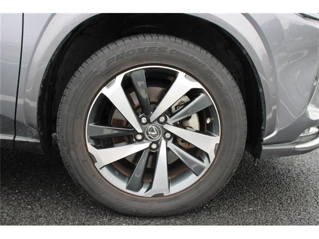 LEXUS NX300