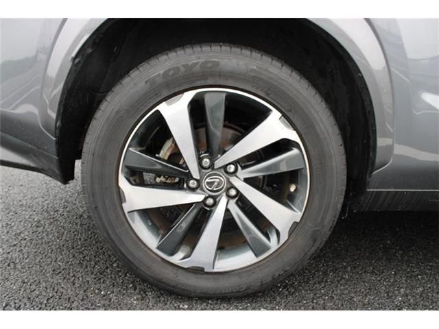LEXUS NX300