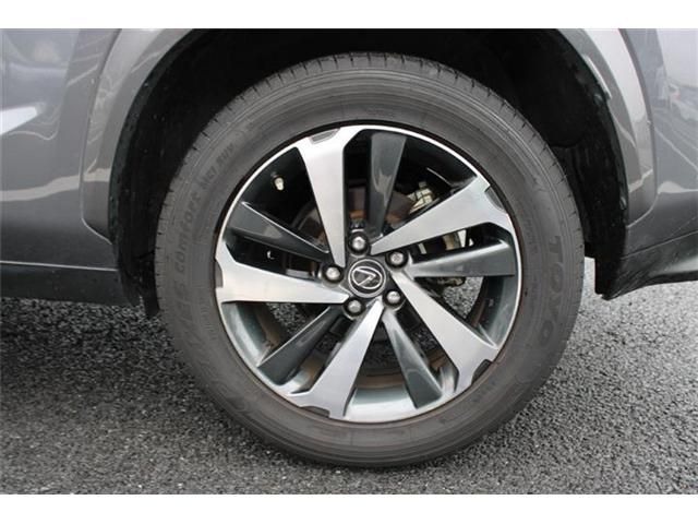 LEXUS NX300
