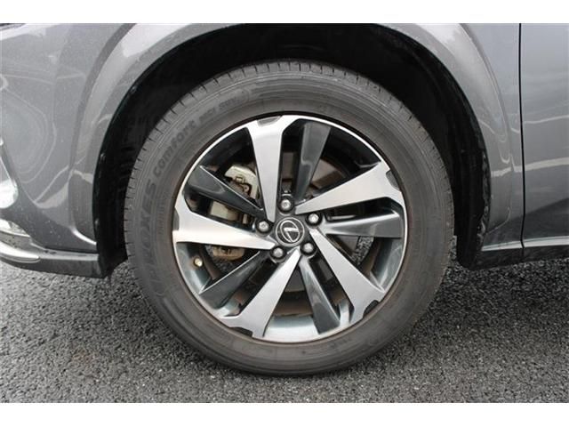 LEXUS NX300