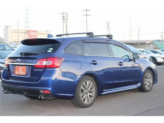 LEVORG