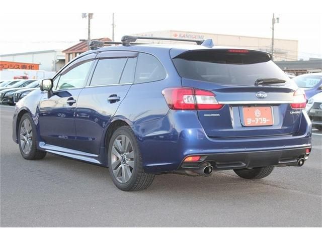 LEVORG