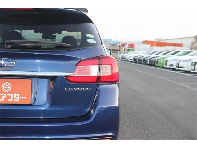 LEVORG