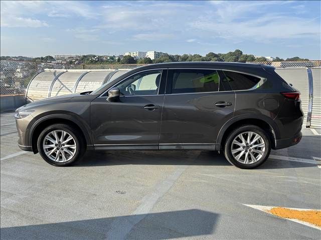 CX-8