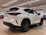 LEXUS NX350h