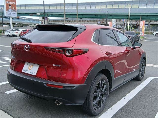 CX-30