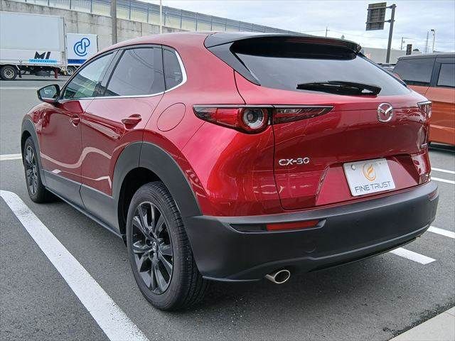 CX-30