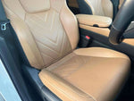 LEXUS NX250