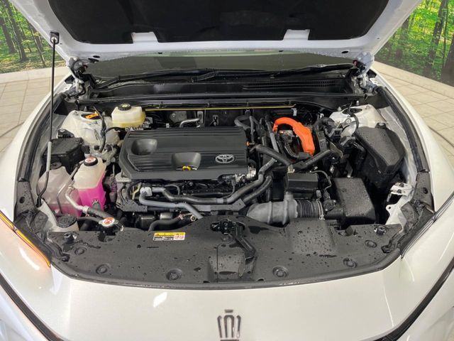 CROWN SPORT