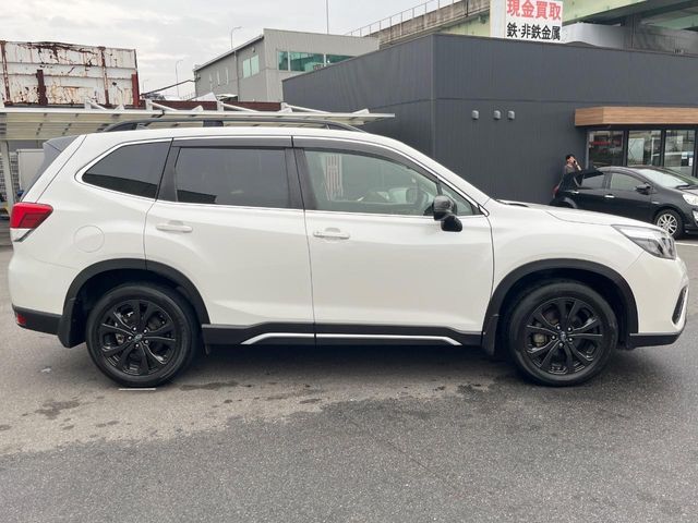 FORESTER