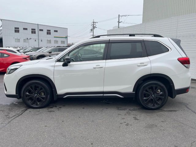 FORESTER