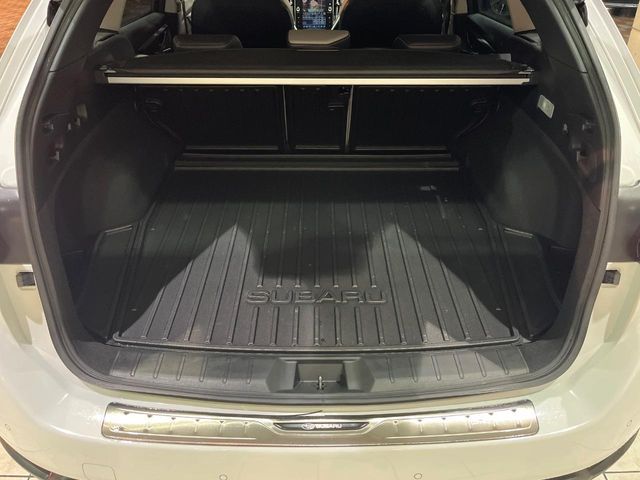 LEVORG LAYBACK