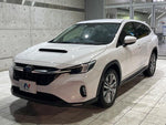 LEVORG LAYBACK