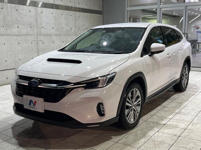 LEVORG LAYBACK