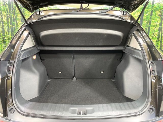 WR-V
