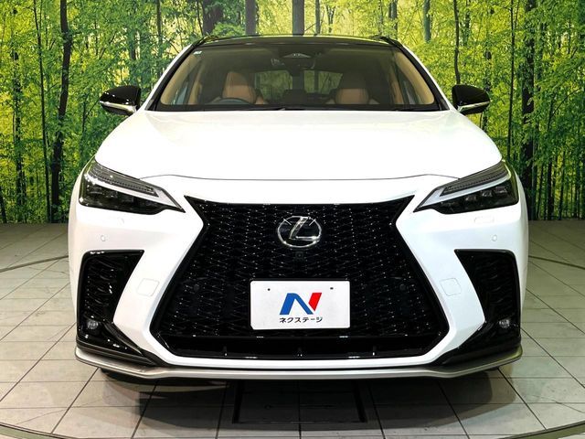 LEXUS NX350h