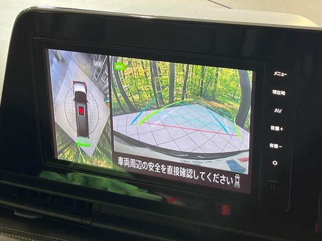 SERENA  WG