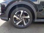 RAIZE HYBRID