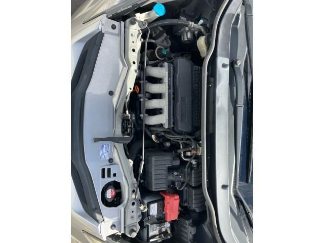 FIT