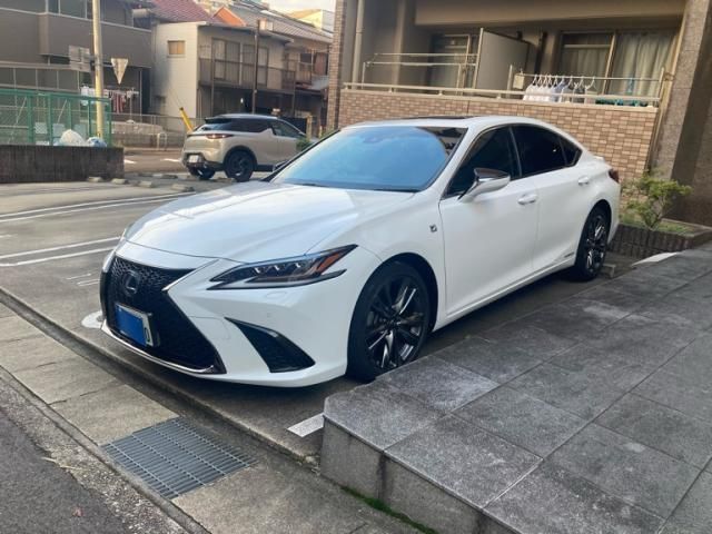 LEXUS ES300h