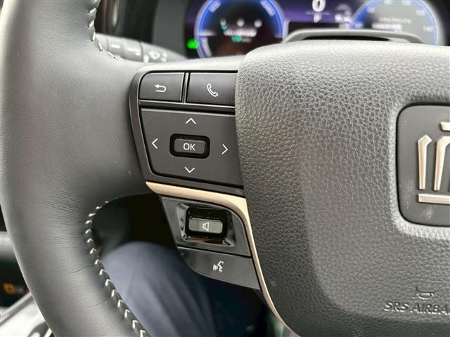 CROWN SPORT