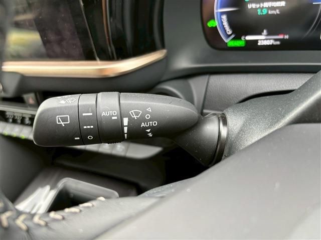 CROWN SPORT