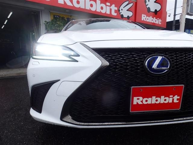 LEXUS ES300h