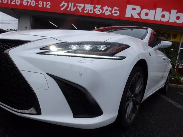 LEXUS ES300h