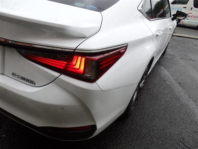 LEXUS ES300h