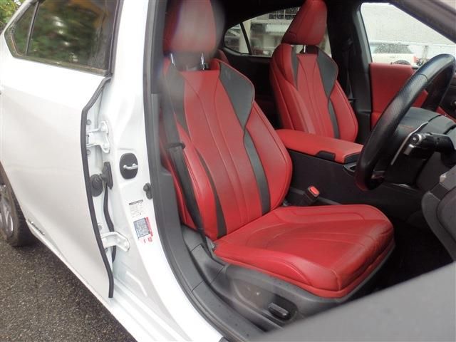 LEXUS ES300h