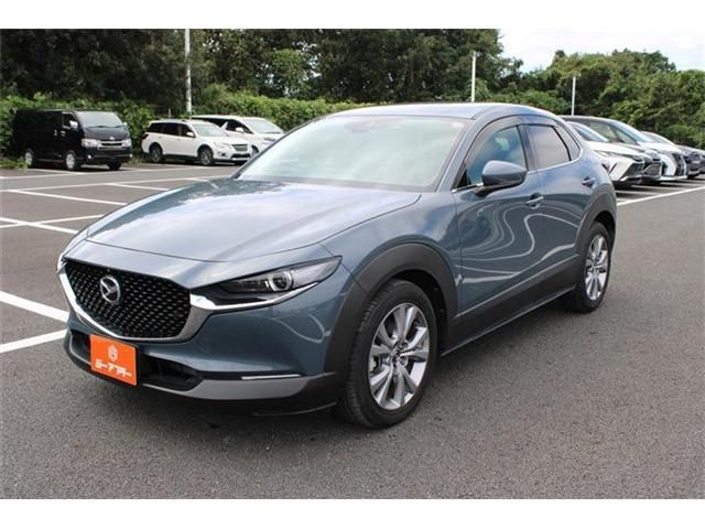 CX-30