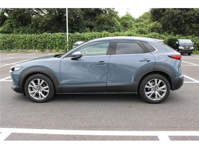 CX-30