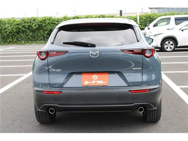 CX-30