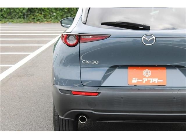 CX-30