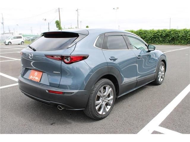 CX-30