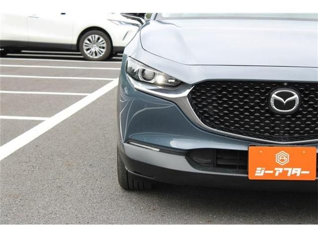 CX-30