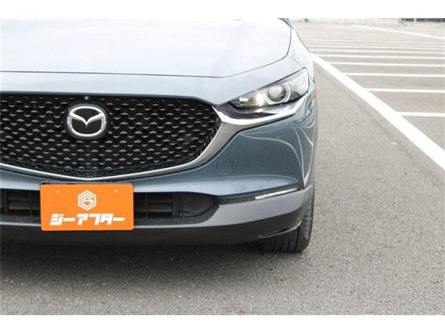 CX-30