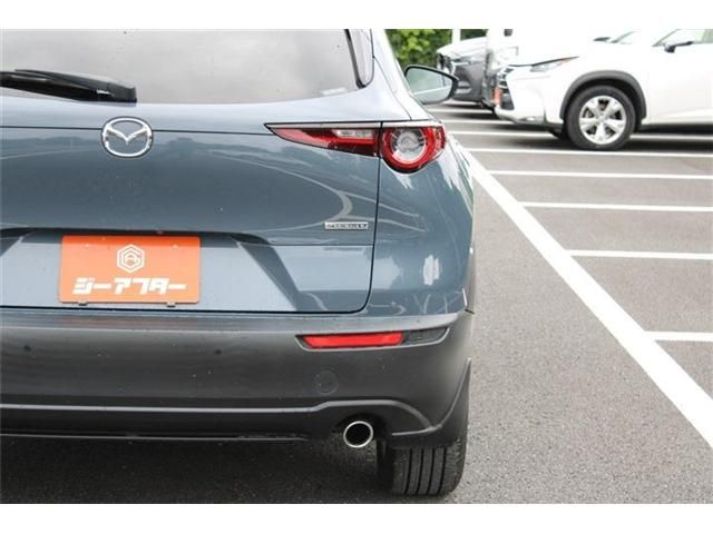 CX-30